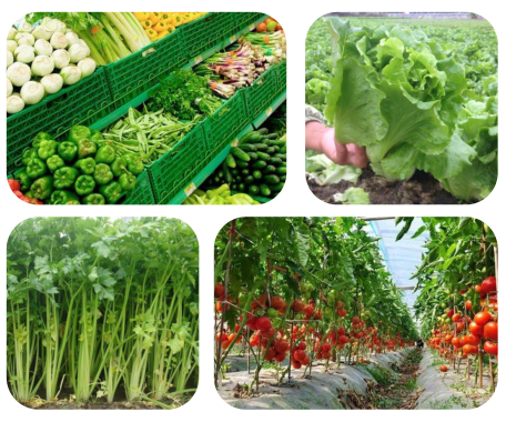 c11f2633eb5bb0d81a525b7ab7865dc4_image(45) c11f2633eb5bb0d81a525b7ab7865dc4_image(45)