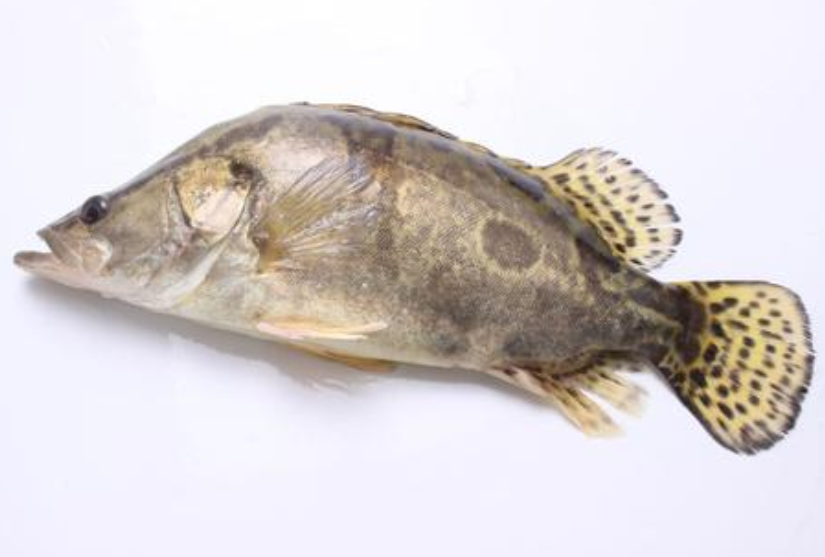 c82e6e8b741b8bc3543d803b5b75c885_image(75)